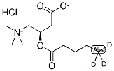 氘代戊酰(5,5,5-D3)-L-盐酸肉碱