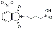 5-(4-NITRO-1,3-DIOXO-1,3-DIHYDRO-2H-ISOINDOL-2-YL)PENTANOIC ACID 结构式