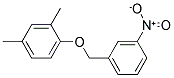 2,4-DIMETHYL-1-(3-NITRO-BENZYLOXY)-BENZENE 结构式