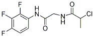 2-CHLORO-N-[2-OXO-2-[(2,3,4-TRIFLUOROPHENYL)AMINO]ETHYL]PROPANAMIDE 结构式