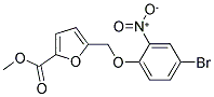 5-(4-BROMO-2-NITRO-PHENOXYMETHYL)-FURAN-2-CARBOXYLIC ACID METHYL ESTER 结构式