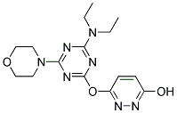 6-{[4-(DIETHYLAMINO)-6-MORPHOLIN-4-YL-1,3,5-TRIAZIN-2-YL]OXY}PYRIDAZIN-3-OL 结构式