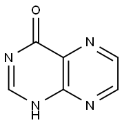 PTERIDIN-4(1H)-ONE 结构式