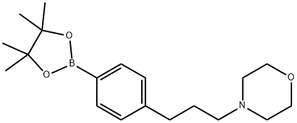 4-[3-[4-(4,4,5,5-TETRAMETHYL-[1,3,2]DIOXABOROLAN-2-YL)-PHENYL]-PROPYL]-MORPHOLINE 结构式