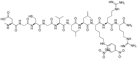 NMA-GCG-VLLK(DNP)RR-NH2 结构式