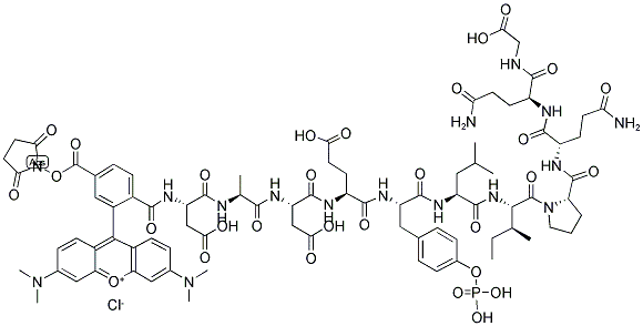 5-TMR-ASP-ALA-ASP-GLU-PTYR-LEU-ILE-PRO-GLN-GLN-GLY-OH 结构式