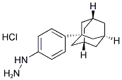1-[4-(1-Adamantyl)phenyl]hydrazine hydrochloride 结构式