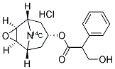 SCOPOLAMINE HYDROCHLORIDE, [N-METHYL-14C] 结构式