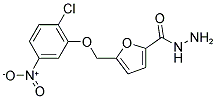 5-(2-CHLORO-5-NITRO-PHENOXYMETHYL)-FURAN-2-CARBOXYLIC ACID HYDRAZIDE 结构式