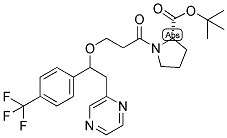 (S)-3-[2-(PYRAZIN-2-YL)-(1RS)-[4-(TRIFLUOROMETHYL)PHENYL]ETHOXY]PROPANOYLPROLINE, TERT-BUTYL ESTER 结构式