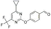 4-(4-环丙基-6-三氟甲基-嘧啶-2-基氧基)-苯甲醛 结构式