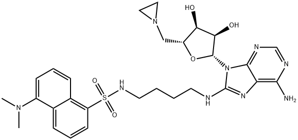 8-AMINO[1''-(N''-DANSYL)-4''-AMINOBUTYL]-5'-(1-AZIRIDINYL)-5'-DEOXYADENOSINE 结构式