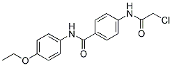 4-(2-CHLORO-ACETYLAMINO)-N-(4-ETHOXY-PHENYL)-BENZAMIDE 结构式