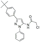 N-[5-(4-TERT-BUTYL-PHENYL)-2-PHENYL-2H-PYRAZOL-3-YL]-2-CHLORO-ACETAMIDE 结构式