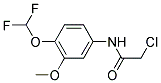 2-CHLORO-N-(4-DIFLUOROMETHOXY-3-METHOXY-PHENYL)-ACETAMIDE 结构式