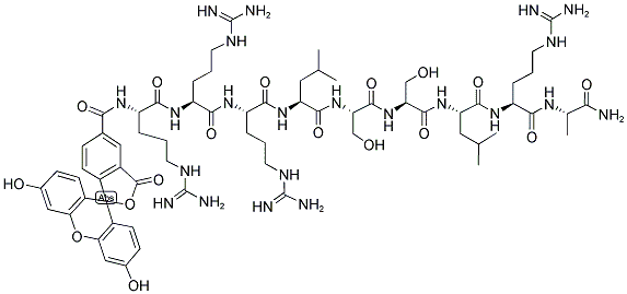 5-FAM-ARG-ARG-ARG-LEU-SER-SER-LEU-ARG-ALA-NH2 结构式