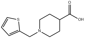 1-(噻吩-2-基甲基)哌啶-4-羧酸 结构式