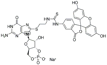 8-FLUO-CGMP SODIUM SALT 结构式