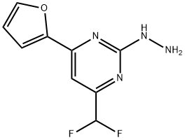 (4-DIFLUOROMETHYL-6-FURAN-2-YL-PYRIMIDIN-2-YL)-HYDRAZINE 结构式