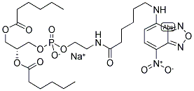 N-(NBD-AMINOCAPROYL)-1,2-DIHEXANOYL-SN-GLYCERO-3-PHOSPHOETHANOLAMINE SODIUM SALT 结构式