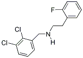 N-(2,3-DICHLOROBENZYL)-2-(2-FLUOROPHENYL)ETHANAMINE 结构式