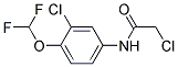 2-CHLORO-N-[3-CHLORO-4-(DIFLUOROMETHOXY)PHENYL]ACETAMIDE 结构式