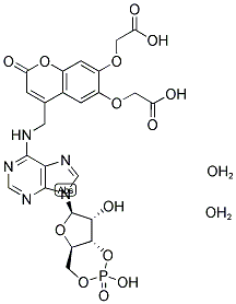 BCMCM-caged cAMP, 2,5-hydrate 结构式
