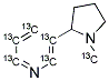 (+/-)-NICOTINE-1,2',3',4',5',6'-13C6 结构式