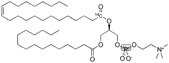 PHOSPHATIDYLCHOLINE, L-ALPHA-1-PALMITOYL-2 ERUCOYL, [ERUCOYL-1-14C] 结构式