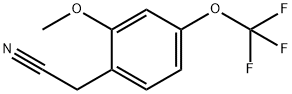 2-(2-甲氧基-4-(三氟甲氧基)苯基)乙腈 结构式