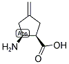 (1R,2S)-2-AMINO-4-METHYLENECYCLOPENTANECARBOXYLIC ACID 结构式
