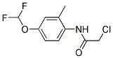 2-CHLORO-N-(4-DIFLUOROMETHOXY-2-METHYL-PHENYL)-ACETAMIDE 结构式