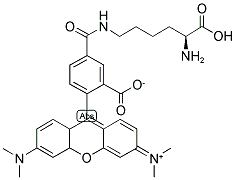 5-四甲基罗丹明标记LYS赖氨酸 结构式