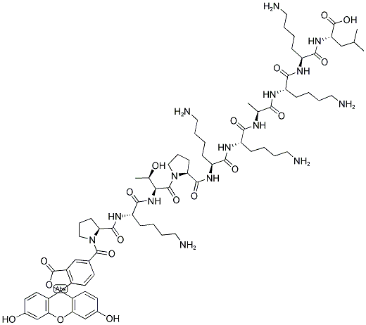 5-FAM-PKTPKKAKKL 结构式