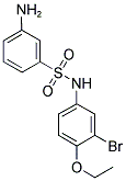 3-AMINO-N-(3-BROMO-4-ETHOXY-PHENYL)-BENZENESULFONAMIDE 结构式