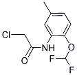2-CHLORO-N-(2-DIFLUOROMETHOXY-5-METHYL-PHENYL)-ACETAMIDE 结构式