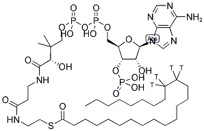 LIGNOCERYL COENZYME A, [15,16-3H] 结构式