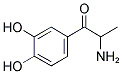 2-AMINO-3',4'-DIHYDROXYPROPIOPHENONE 结构式