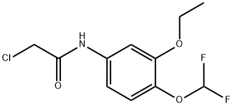 2-氯-N-[4-(二氟甲氧基)-3-乙氧基苯基]乙酰胺 结构式