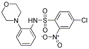 ((4-CHLORO-2-NITROPHENYL)SULFONYL)(2-MORPHOLIN-4-YLPHENYL)AMINE 结构式