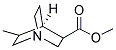 METHYL 5-METHYLQUINUCLIDINE-3-CARBOXYLATE 结构式