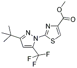 METHYL 2-[3-TERT-BUTYL-5-(TRIFLUOROMETHYL)-1H-PYRAZOL-1-YL]-1,3-THIAZOLE-4-CARBOXYLATE 结构式