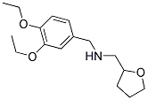 N-(3,4-DIETHOXYBENZYL)-N-(TETRAHYDROFURAN-2-YLMETHYL)AMINE 结构式