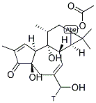 12-DEOXYPHORBOL 13-ACETATE [20-3H] 结构式