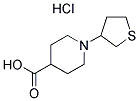 1-(硫醇-3-基)哌啶-4-羧酸盐酸盐 结构式