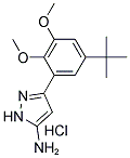 3-(5-TERT-BUTYL-2,3-DIMETHOXYPHENYL)-1H-PYRAZOL-5-AMINE HYDROCHLORIDE 结构式