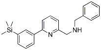 1-PHENYL-N-((6-[3-(TRIMETHYLSILYL)PHENYL]PYRIDIN-2-YL)METHYL)METHANAMINE 结构式