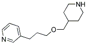 3-[3-(4-PIPERIDINYLMETHOXY)PROPYL]PYRIDINE 结构式