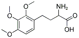 2-Amino-4-(2,3,4-trimethoxy-phenyl)-butyric acid 结构式