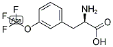 (R)-2-AMINO-3-(3-TRIFLUOROMETHOXY-PHENYL)-PROPIONIC ACID 结构式